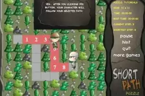 Short Path Puzzle