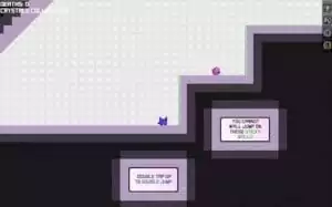 Cat Ninja