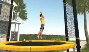 Flip Master