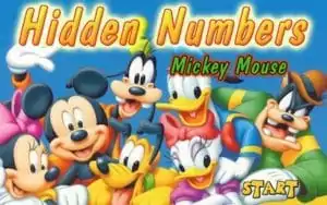 Hidden Numbers