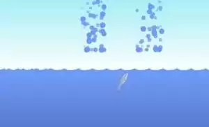 Dolphin Olympics