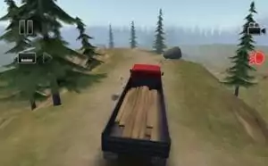 Truck Driver Crazy Road