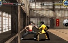 Dragon Fist 3D
