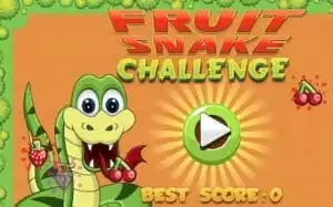 Fruit Snake Challenge