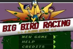 Big Bird Racing