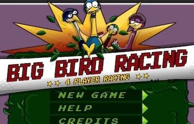 Big Bird Racing