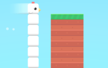 Square Bird