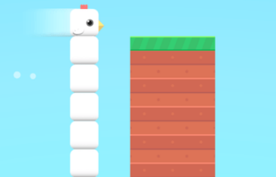 Square Bird