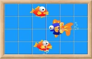livepuzzle