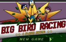 Big-birds-racing