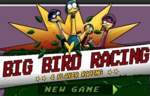 Big-birds-racing