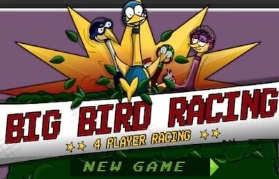 Big-birds-racing