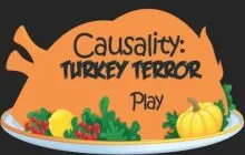 Causality-turkey-terror
