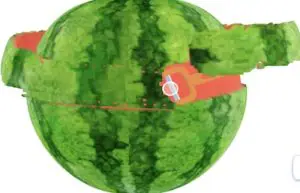 perfect-peel