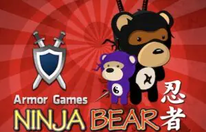 Ninja Bear