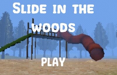 Slide In the Woods