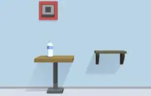 Bottle Flip