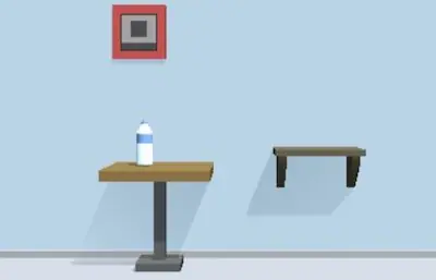 Bottle Flip