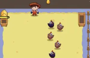 Chicky Farm