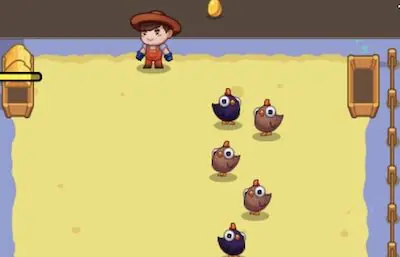 Chicky Farm