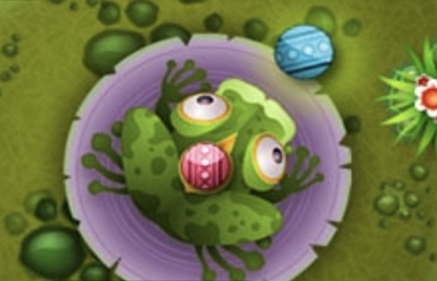 Frogtastic