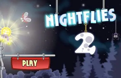 Night Flies 2