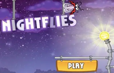 Night Flies