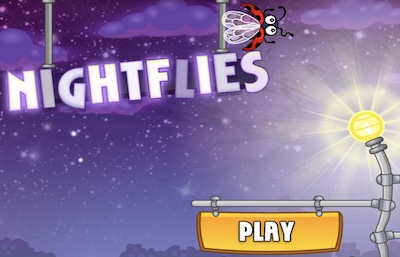 Night Flies