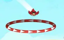 Angry Birds Slingshot Fun