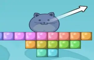 Jelly Cat