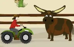 Randy's Ranch