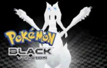 Pokemon - Black Version