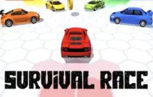 Survival Race