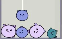 cats-drop