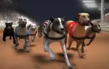 Greyhound Racing